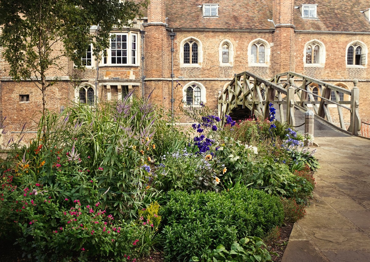 Mathematical Bridge