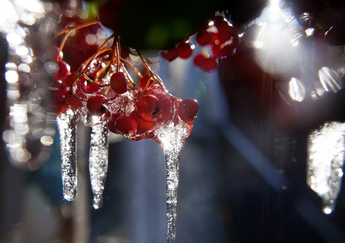 cambridgeshire winter