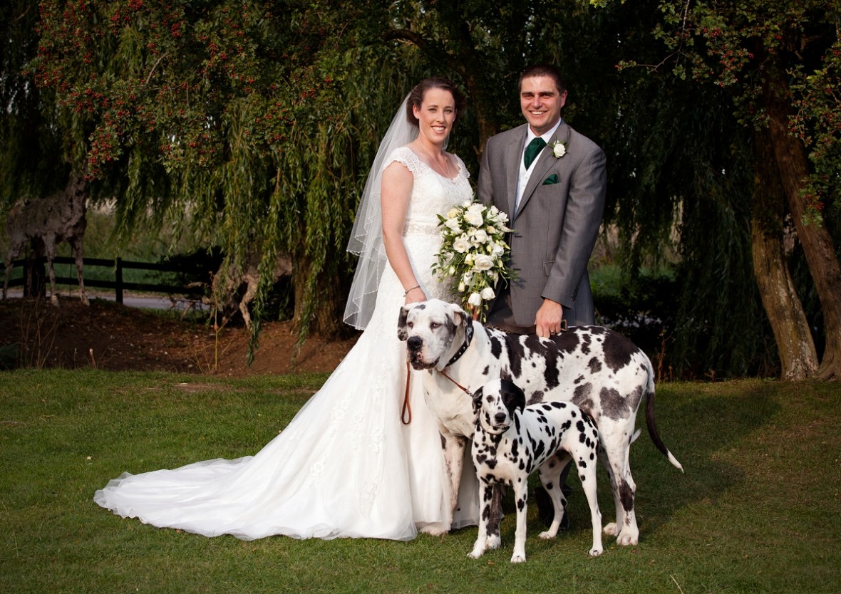 the couple with dogs